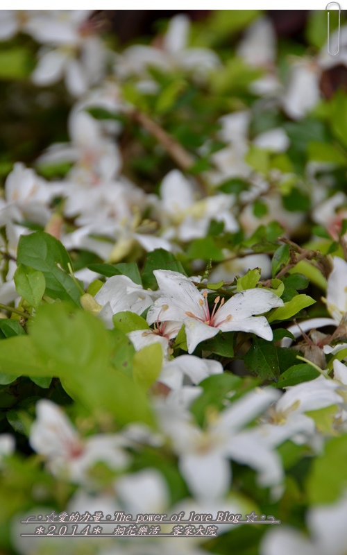 客家7.jpg 客家7.jpg