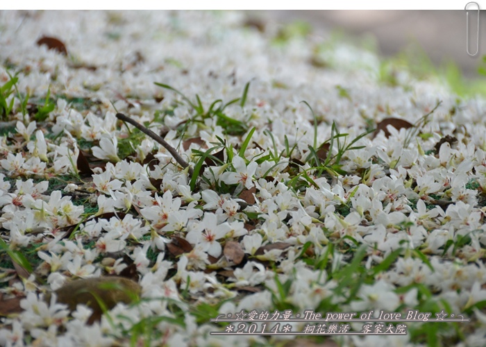 客家9.jpg 客家9.jpg