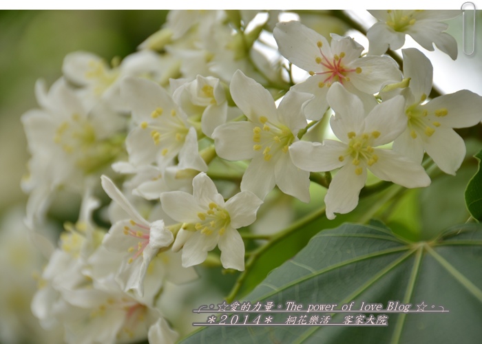 客家23.jpg 客家23.jpg