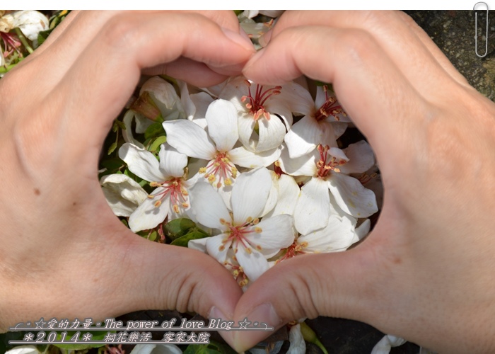 客家31.jpg 客家31.jpg