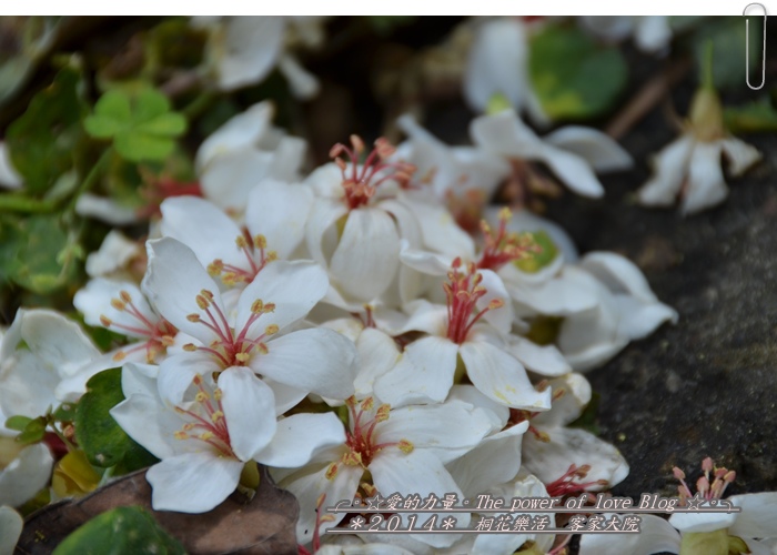 客家30.jpg 客家30.jpg