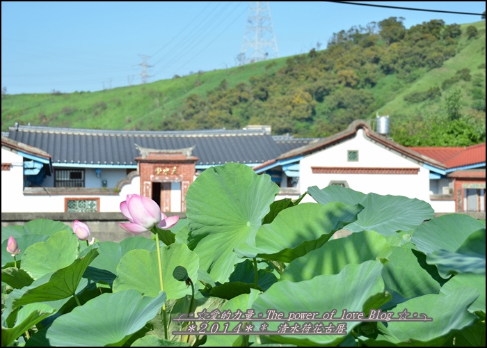 清水3.jpg 清水3.jpg