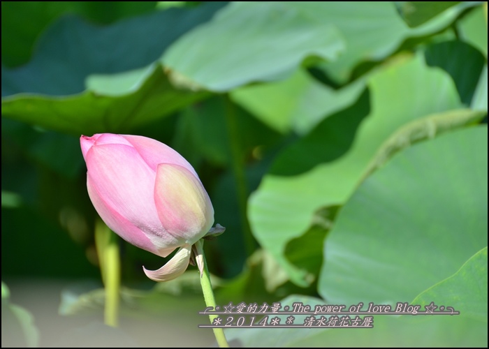 清水4.jpg 清水4.jpg