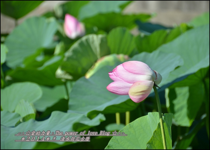 清水5.jpg 清水5.jpg