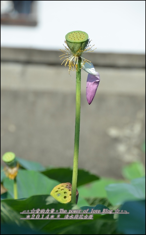 清水9.jpg 清水9.jpg