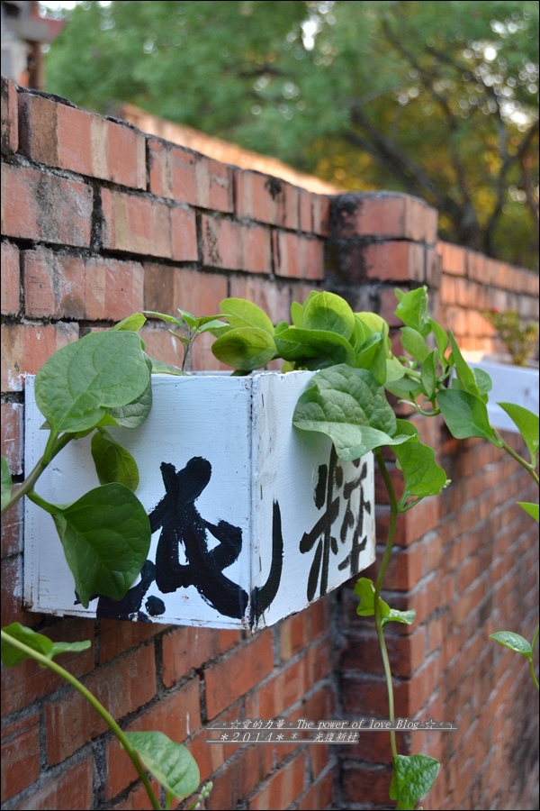 光復36.jpg 光復36.jpg