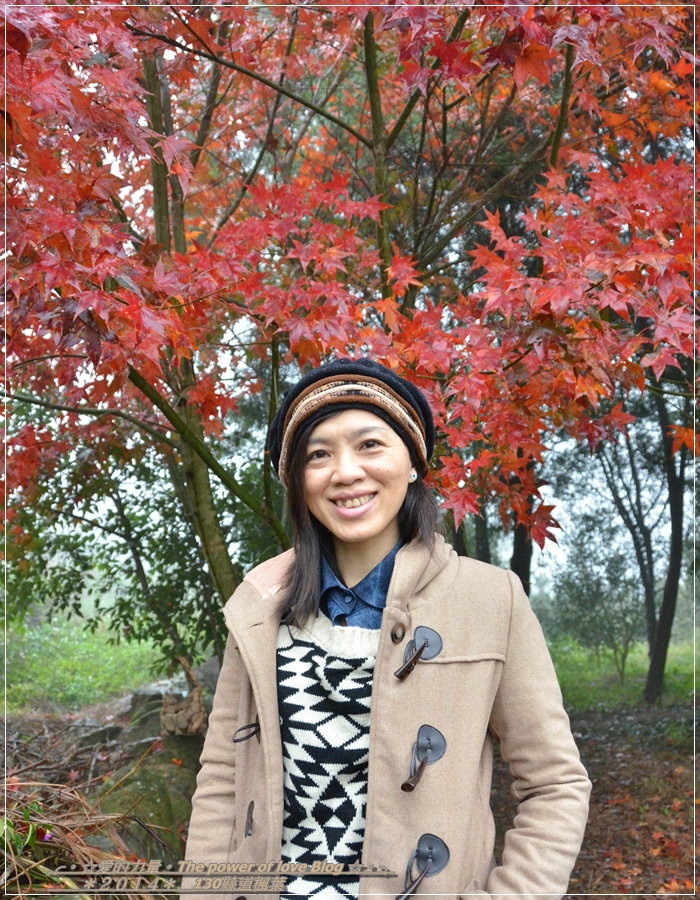 楓葉10.jpg 楓葉10.jpg