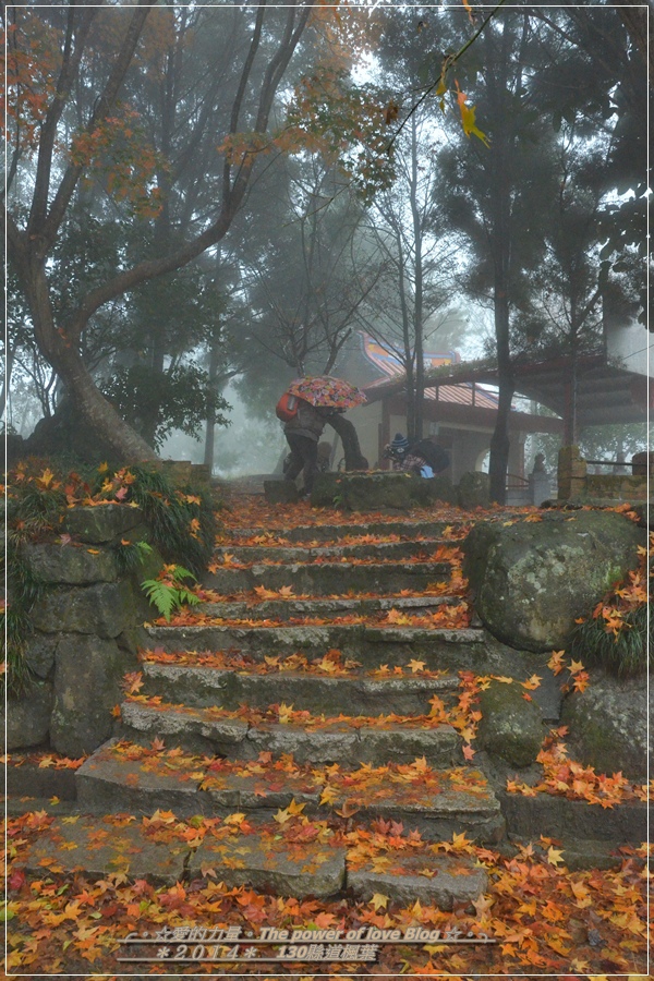 楓葉20.jpg 楓葉20.jpg