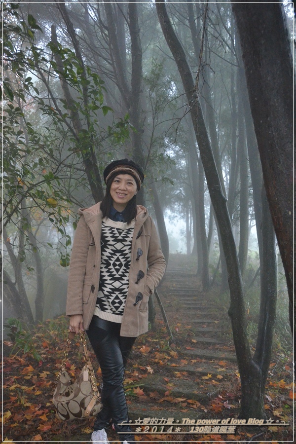 楓葉30.jpg 楓葉30.jpg