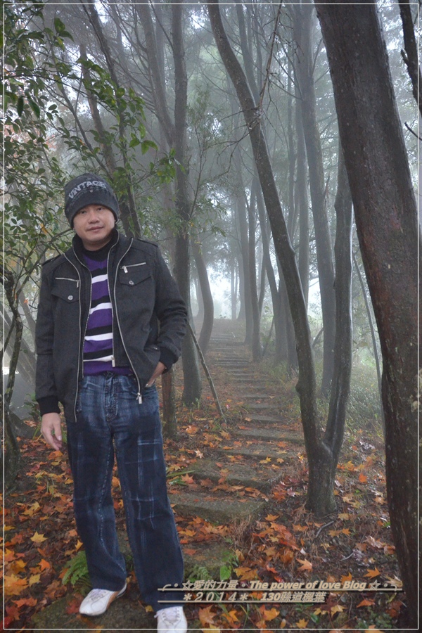 楓葉32.jpg 楓葉32.jpg