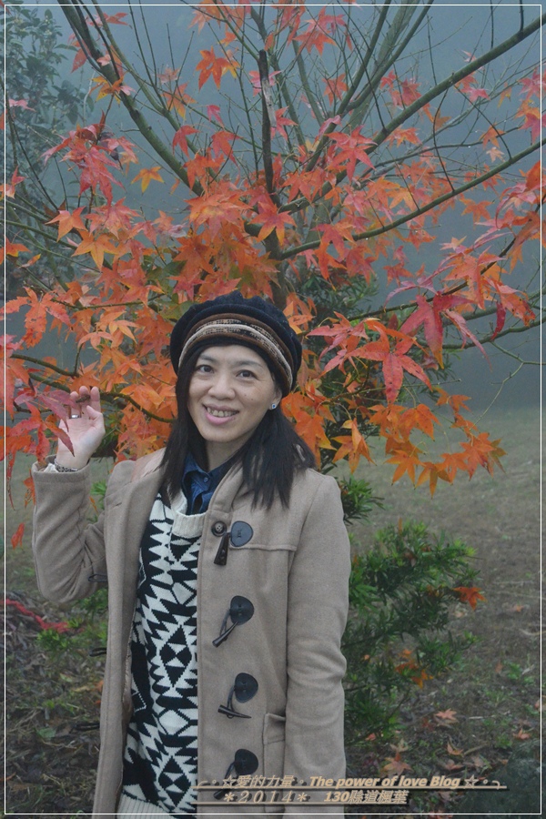 楓葉39.jpg 楓葉39.jpg