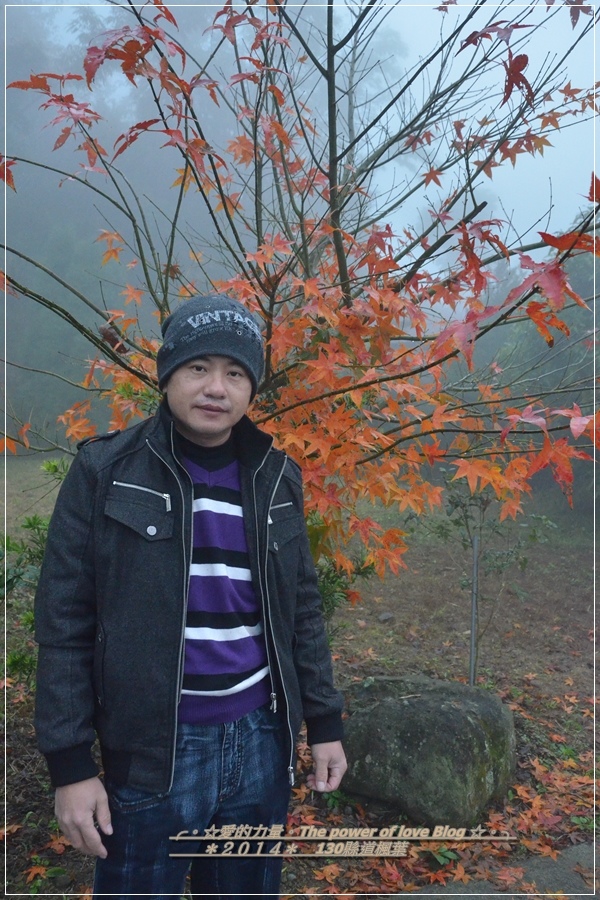 楓葉40.jpg 楓葉40.jpg