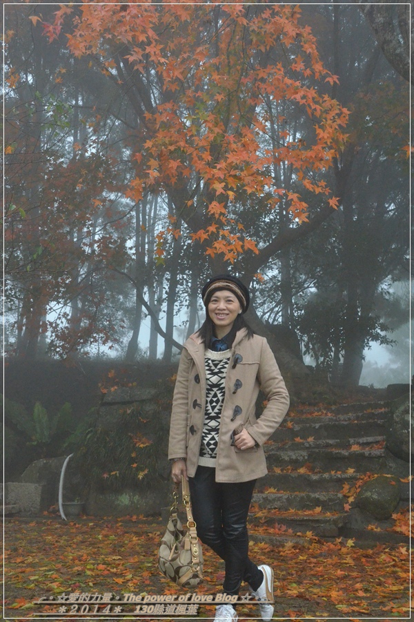 楓葉49.jpg 楓葉49.jpg