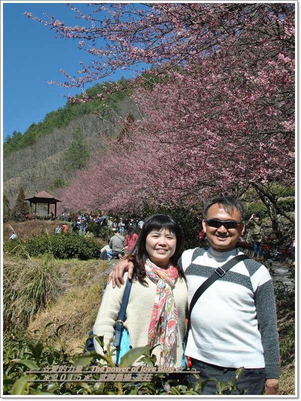 茶莊32.jpg 茶莊32.jpg