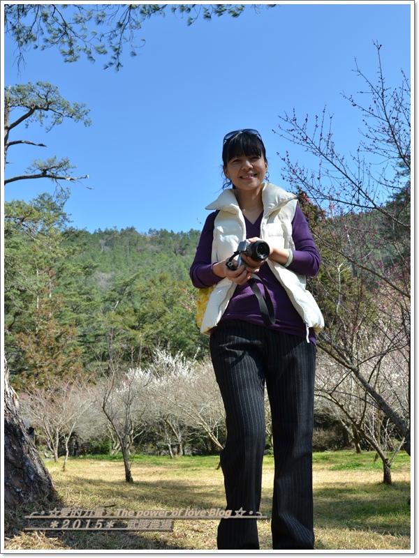 茶莊45.jpg 茶莊45.jpg