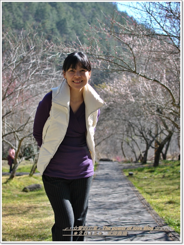 茶莊49.jpg 茶莊49.jpg