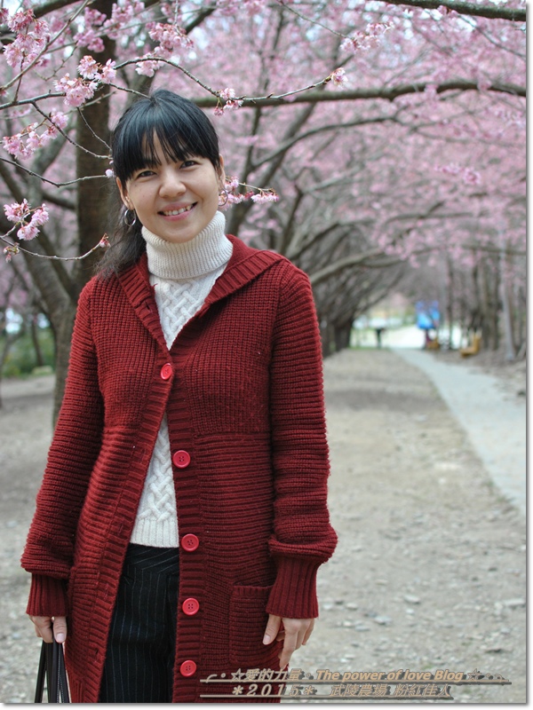 粉紅6.jpg 粉紅6.jpg