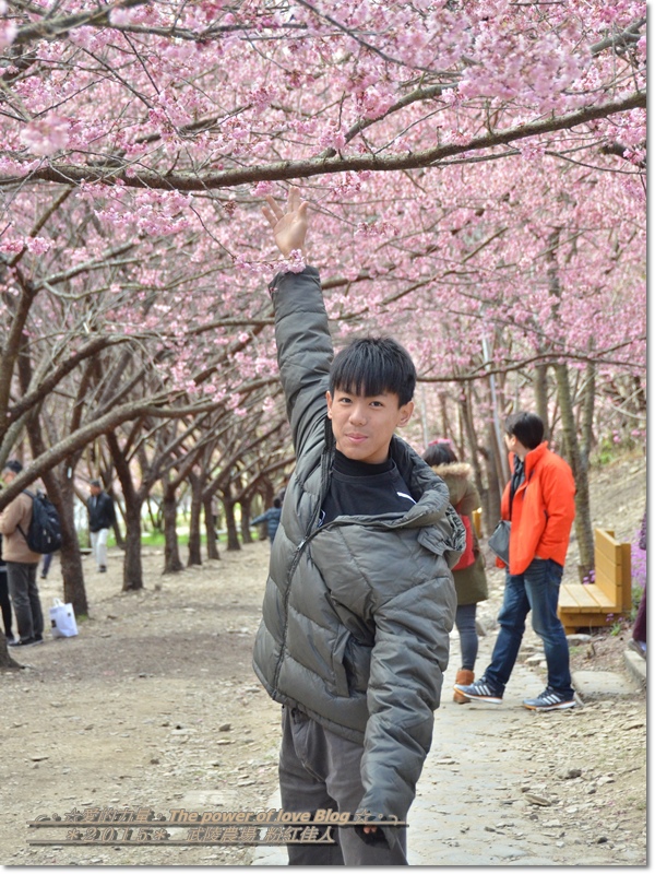 粉紅29.jpg 粉紅29.jpg