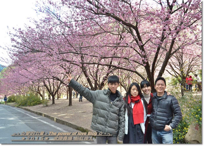 粉紅42.jpg 粉紅42.jpg