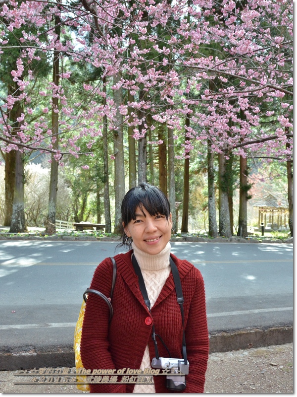 粉紅48.jpg 粉紅48.jpg