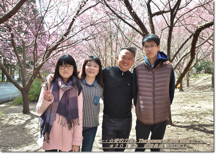 粉紅65.jpg 粉紅65.jpg