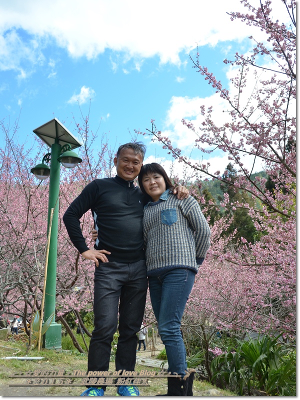 粉紅78.jpg 粉紅78.jpg