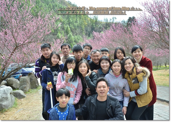 粉紅93.jpg 粉紅93.jpg