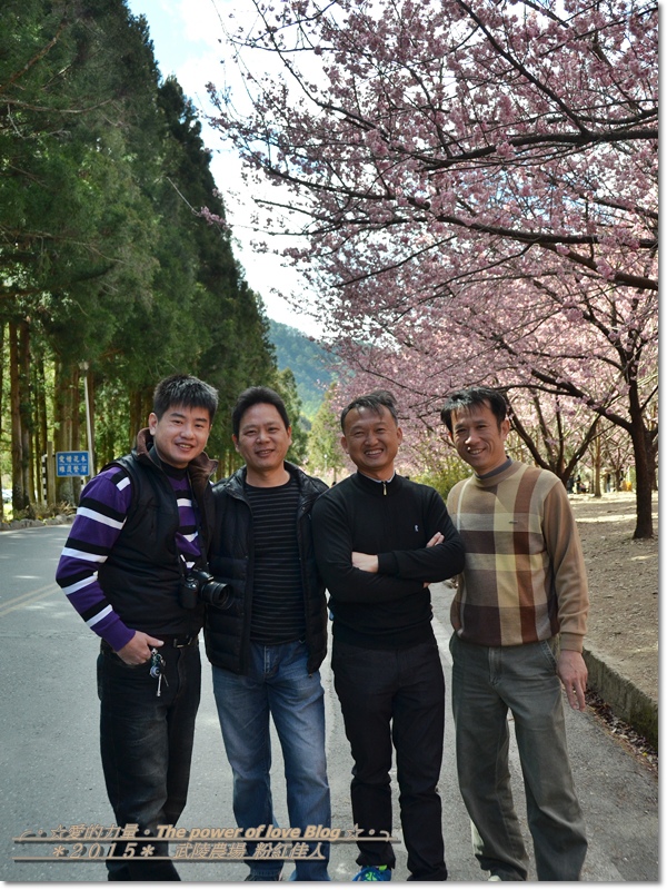 粉紅98.jpg 粉紅98.jpg