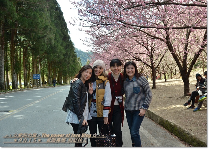 粉紅99.jpg 粉紅99.jpg