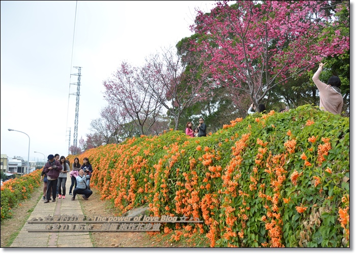 炮炸1.jpg 炮炸1.jpg