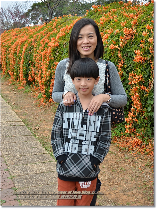 炮炸3.jpg 炮炸3.jpg