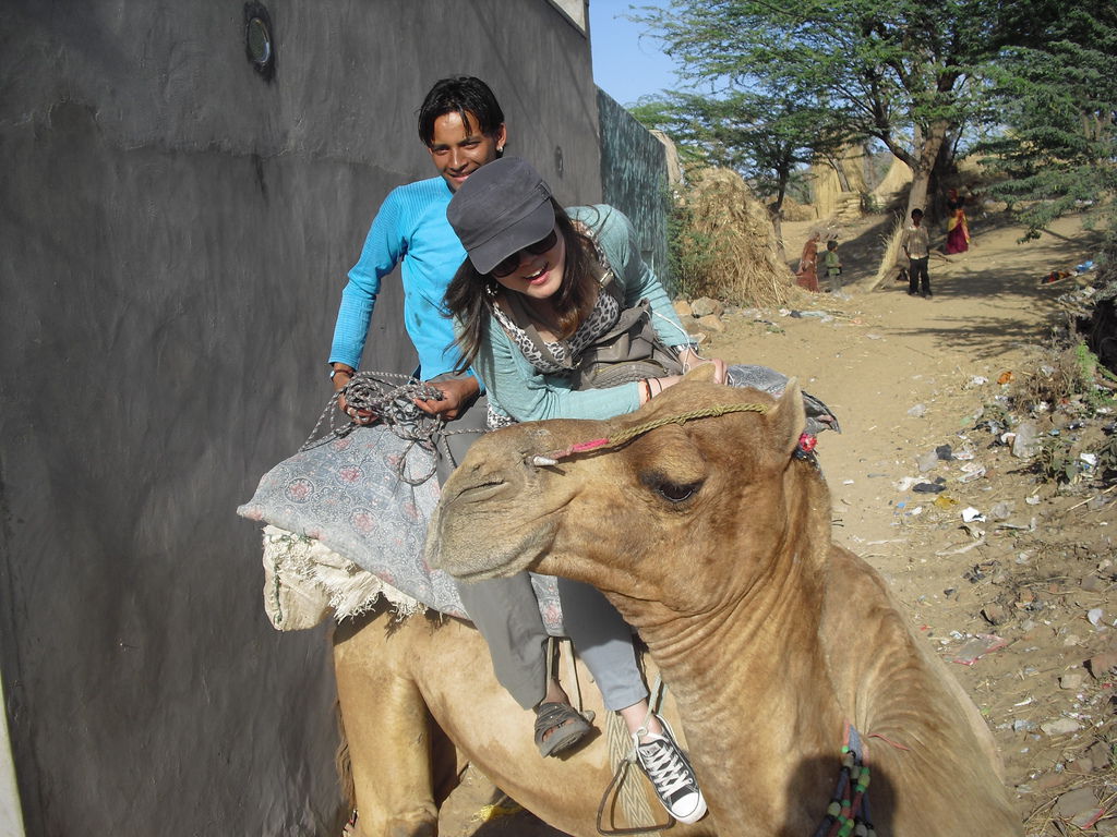 CIMG6764.JPG CIMG6764.JPG