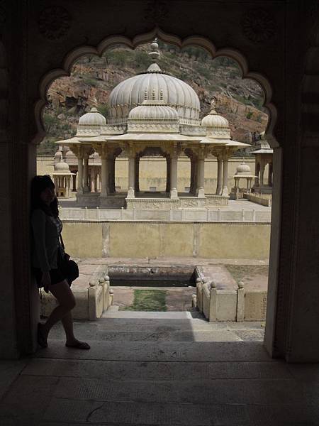 CIMG6484.JPG CIMG6484.JPG