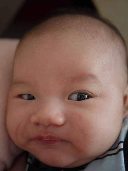 P1010886.JPG P1010886.JPG