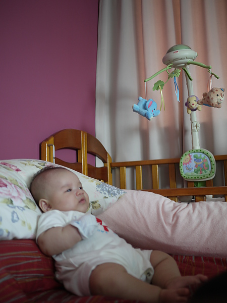 P1030478.JPG P1030478.JPG