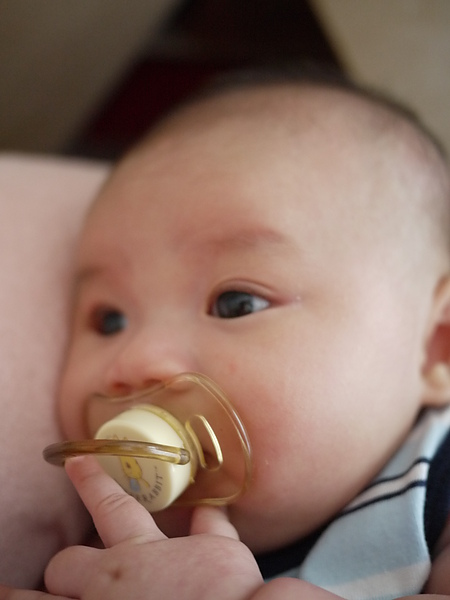 P1010879.JPG P1010879.JPG