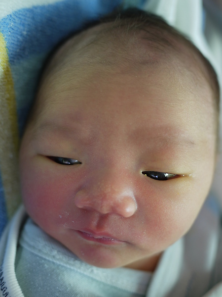 P1000529.JPG P1000529.JPG