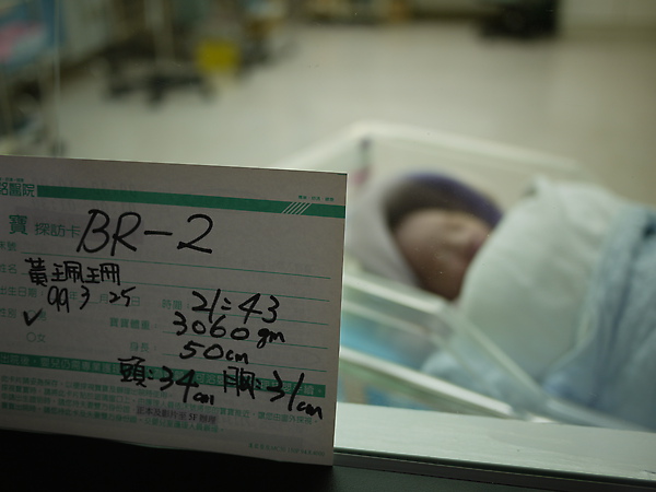 P1000438.JPG P1000438.JPG