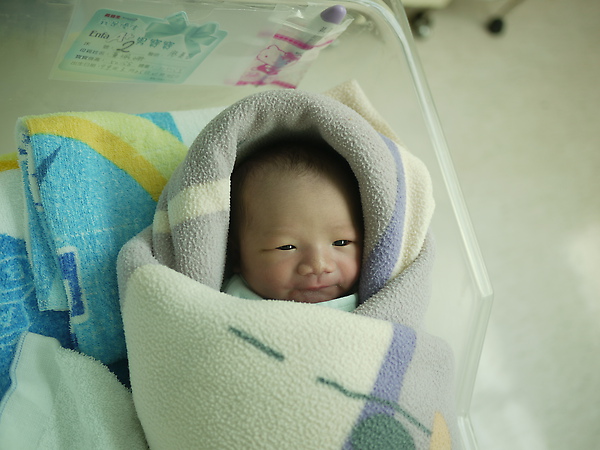 P1000500.JPG P1000500.JPG