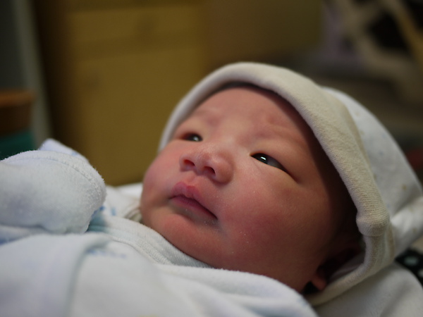 P1000503.JPG P1000503.JPG