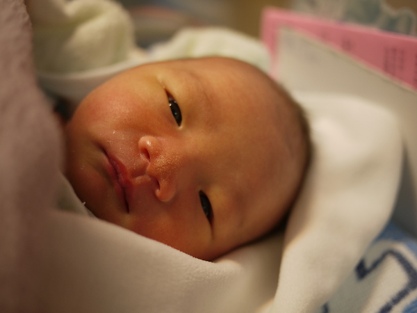 P1000534.JPG P1000534.JPG