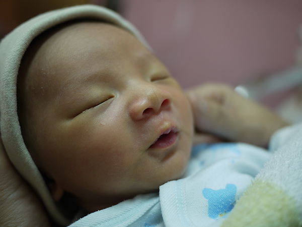 P1000637.JPG P1000637.JPG