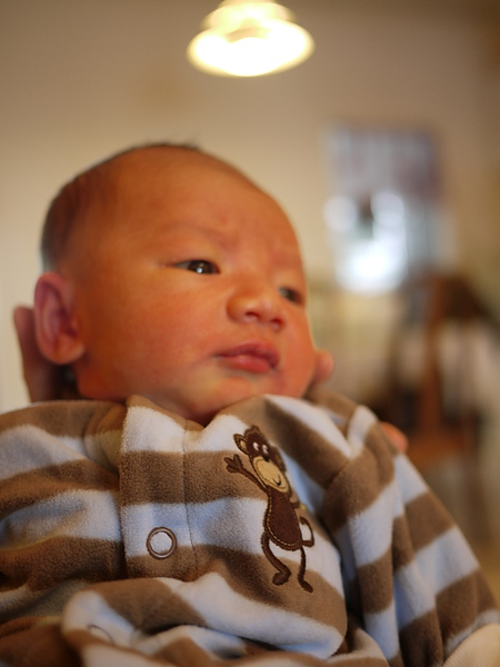 P1000661.JPG P1000661.JPG