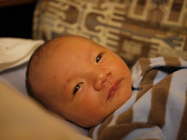 P1000691.JPG P1000691.JPG