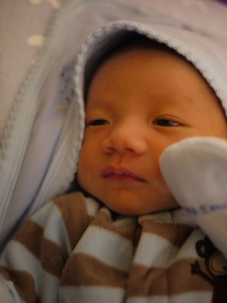 P1000697.JPG P1000697.JPG