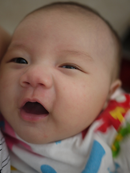 P1010437.JPG P1010437.JPG