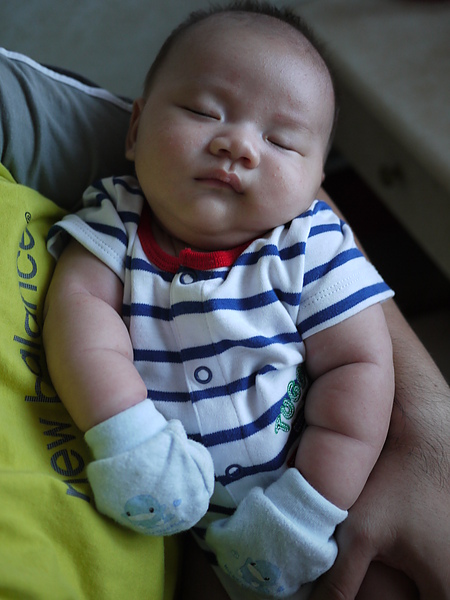 P1010566.JPG P1010566.JPG