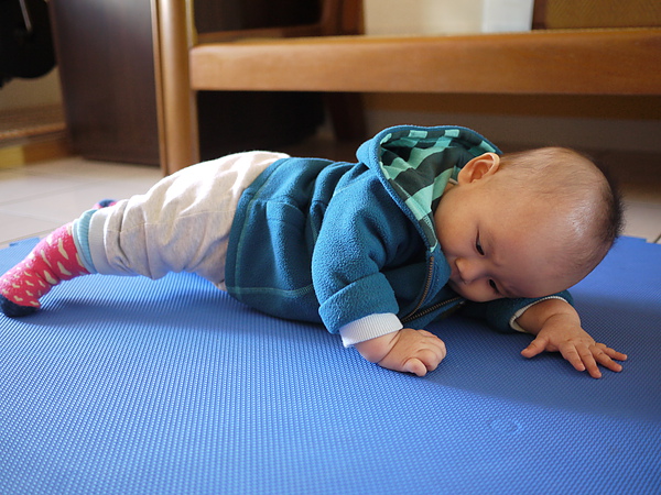 P1060802.JPG P1060802.JPG