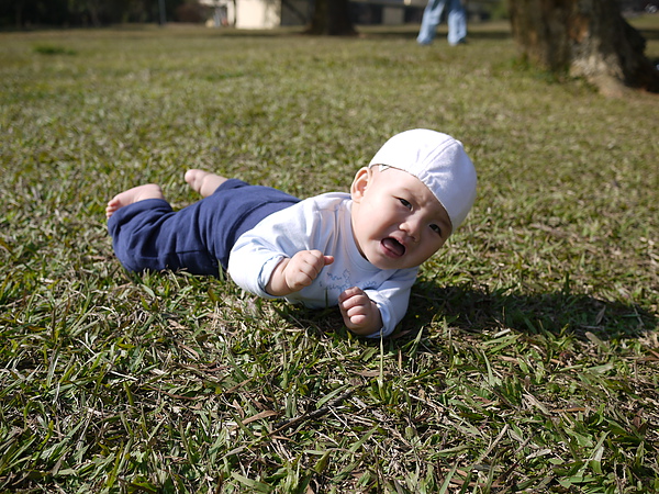 P1070481.JPG P1070481.JPG