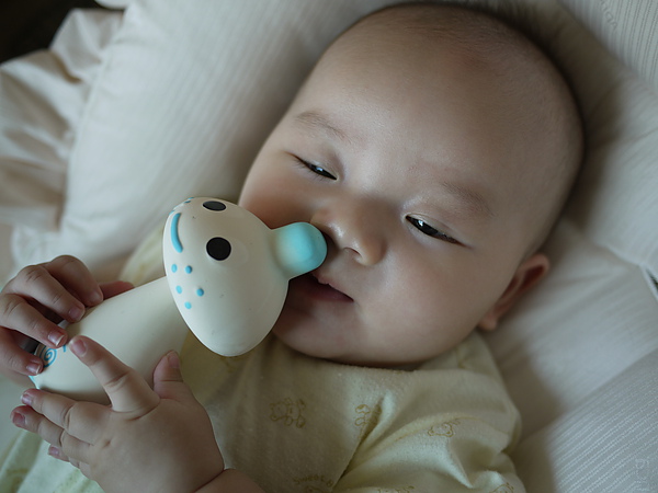 P1040105.JPG P1040105.JPG